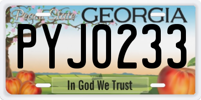 GA license plate PYJ0233