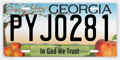 GA license plate PYJ0281