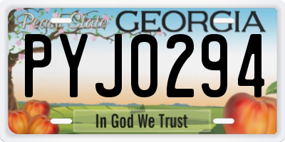 GA license plate PYJ0294