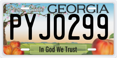 GA license plate PYJ0299