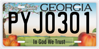 GA license plate PYJ0301