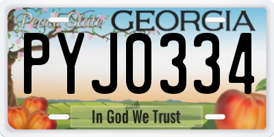 GA license plate PYJ0334