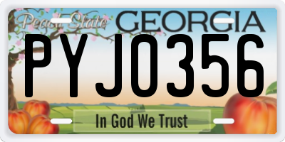 GA license plate PYJ0356