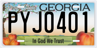 GA license plate PYJ0401