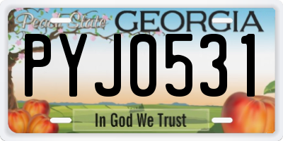 GA license plate PYJ0531
