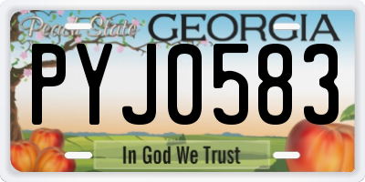 GA license plate PYJ0583