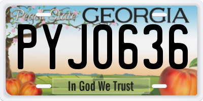 GA license plate PYJ0636