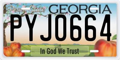 GA license plate PYJ0664