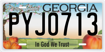 GA license plate PYJ0713