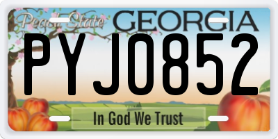 GA license plate PYJ0852