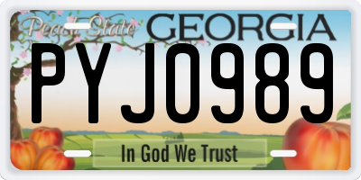 GA license plate PYJ0989