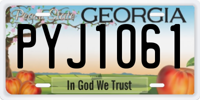 GA license plate PYJ1061