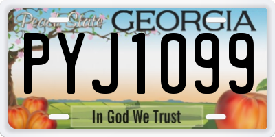 GA license plate PYJ1099