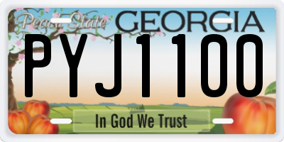 GA license plate PYJ1100