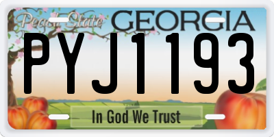 GA license plate PYJ1193