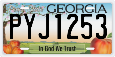 GA license plate PYJ1253