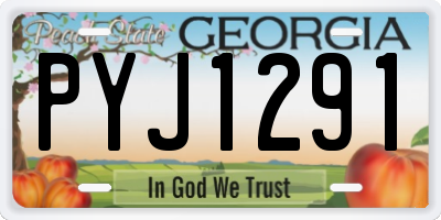 GA license plate PYJ1291