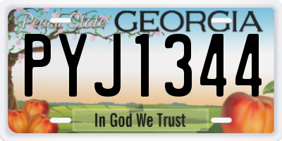 GA license plate PYJ1344