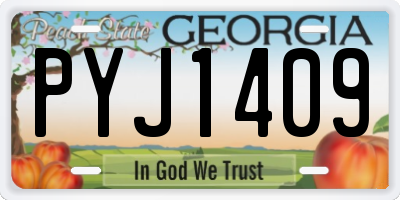 GA license plate PYJ1409