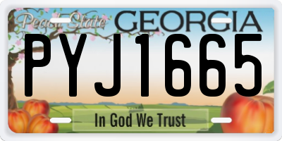 GA license plate PYJ1665