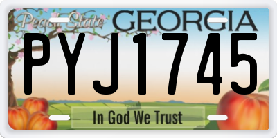 GA license plate PYJ1745