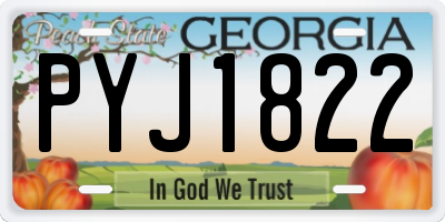 GA license plate PYJ1822