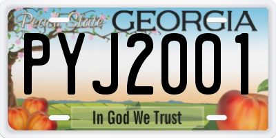 GA license plate PYJ2001
