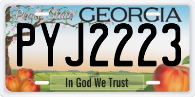 GA license plate PYJ2223