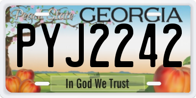 GA license plate PYJ2242
