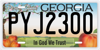 GA license plate PYJ2300