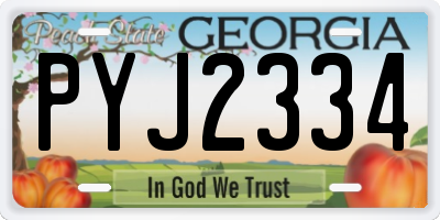 GA license plate PYJ2334