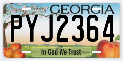 GA license plate PYJ2364