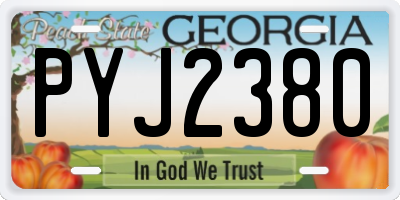 GA license plate PYJ2380