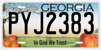GA license plate PYJ2383