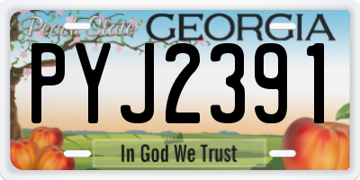 GA license plate PYJ2391