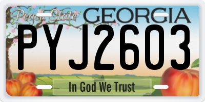 GA license plate PYJ2603