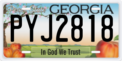GA license plate PYJ2818