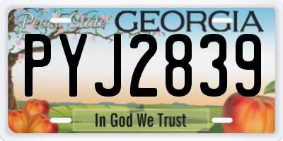 GA license plate PYJ2839