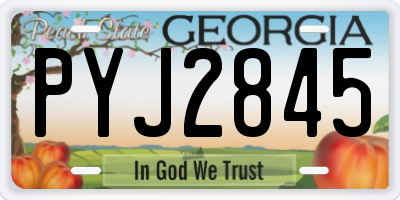 GA license plate PYJ2845