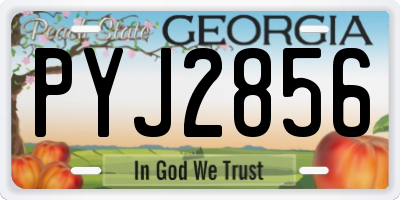 GA license plate PYJ2856