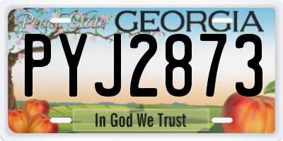 GA license plate PYJ2873
