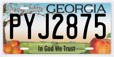 GA license plate PYJ2875