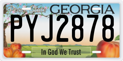 GA license plate PYJ2878