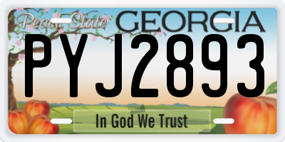 GA license plate PYJ2893