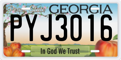 GA license plate PYJ3016