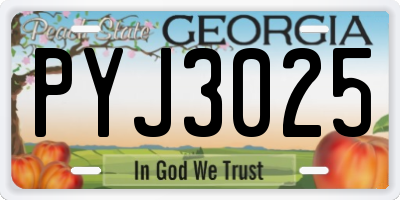GA license plate PYJ3025