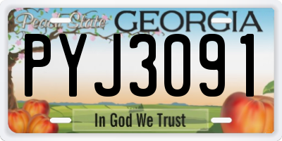 GA license plate PYJ3091