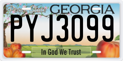 GA license plate PYJ3099