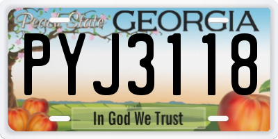 GA license plate PYJ3118