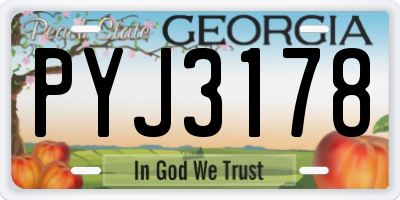GA license plate PYJ3178